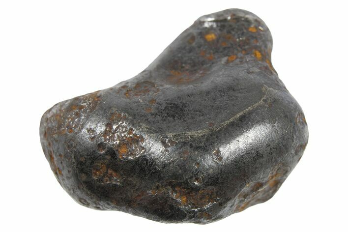 Fusion Crusted Sikhote-Alin Iron Meteorite ( g) - Russia #266696